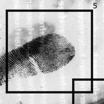 Effective Fingerprint Markup With AARI